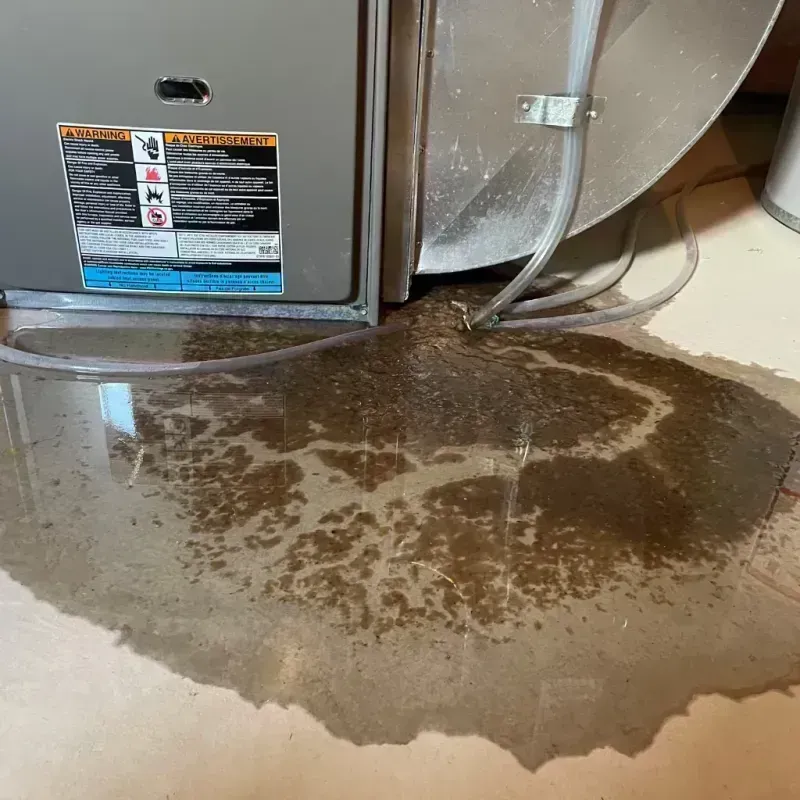 Appliance Leak Cleanup in Indian Hills, KY